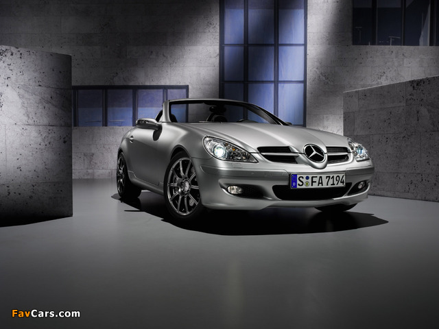 Mercedes-Benz SLK Edition 10 (R171) 2007 pictures (640 x 480)
