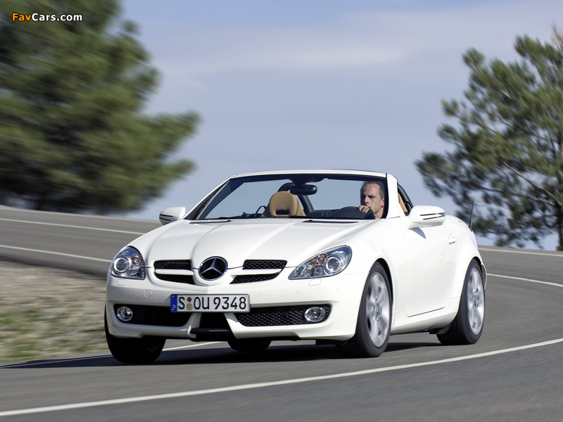 Mercedes-Benz SLK 350 (R171) 2008–11 images (800 x 600)