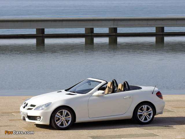 Mercedes-Benz SLK 350 (R171) 2008–11 images (640 x 480)