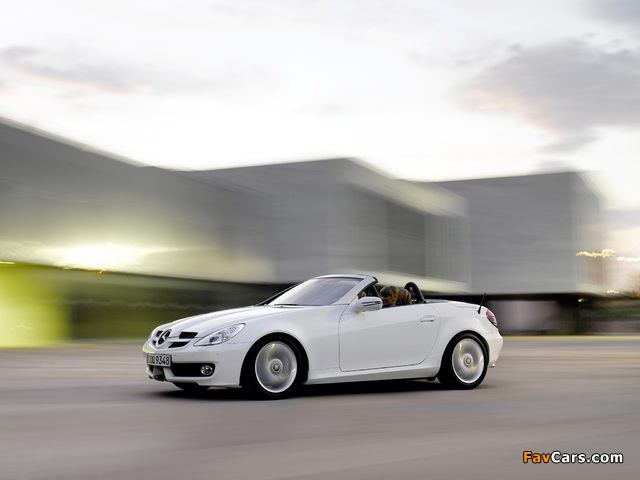 Mercedes-Benz SLK 350 (R171) 2008–11 photos (640 x 480)