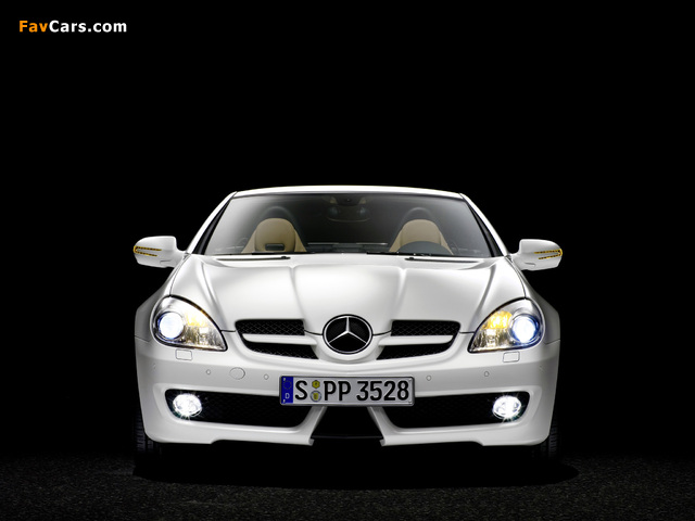 Mercedes-Benz SLK 350 (R171) 2008–11 pictures (640 x 480)