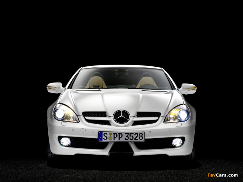 Mercedes-Benz SLK 350 (R171) 2008–11 pictures (800 x 600)