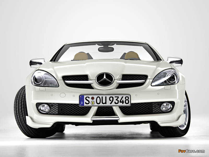 Mercedes-Benz SLK 350 (R171) 2008–11 wallpapers (800 x 600)