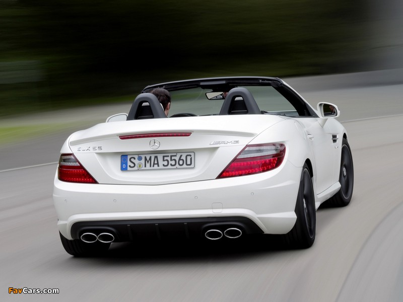 Mercedes-Benz SLK 55 AMG (R172) 2011 photos (800 x 600)