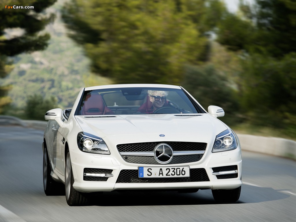 Mercedes-Benz SLK 250 CDI AMG Sports Package (R172) 2011 photos (1024 x 768)