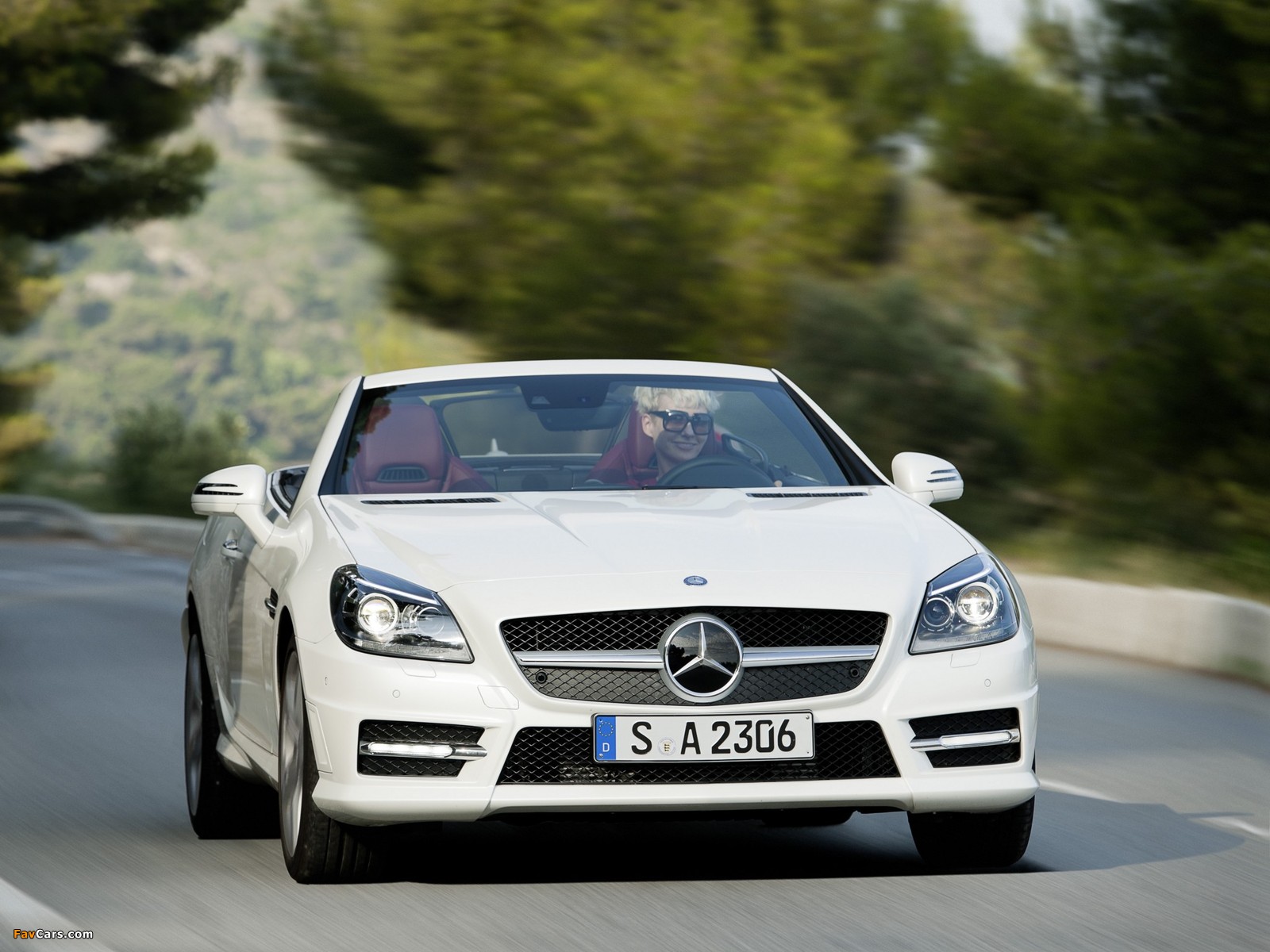 Mercedes-Benz SLK 250 CDI AMG Sports Package (R172) 2011 photos (1600 x 1200)