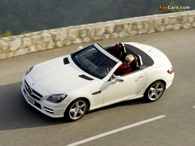 Mercedes-Benz SLK 250 CDI AMG Sports Package (R172) 2011 photos (640 x 480)