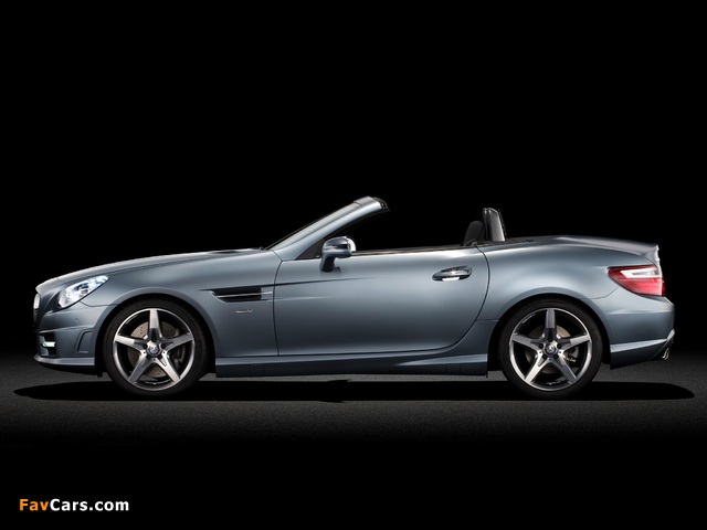 Mercedes-Benz SLK 350 AMG Sports Package (R172) 2011 pictures (640 x 480)