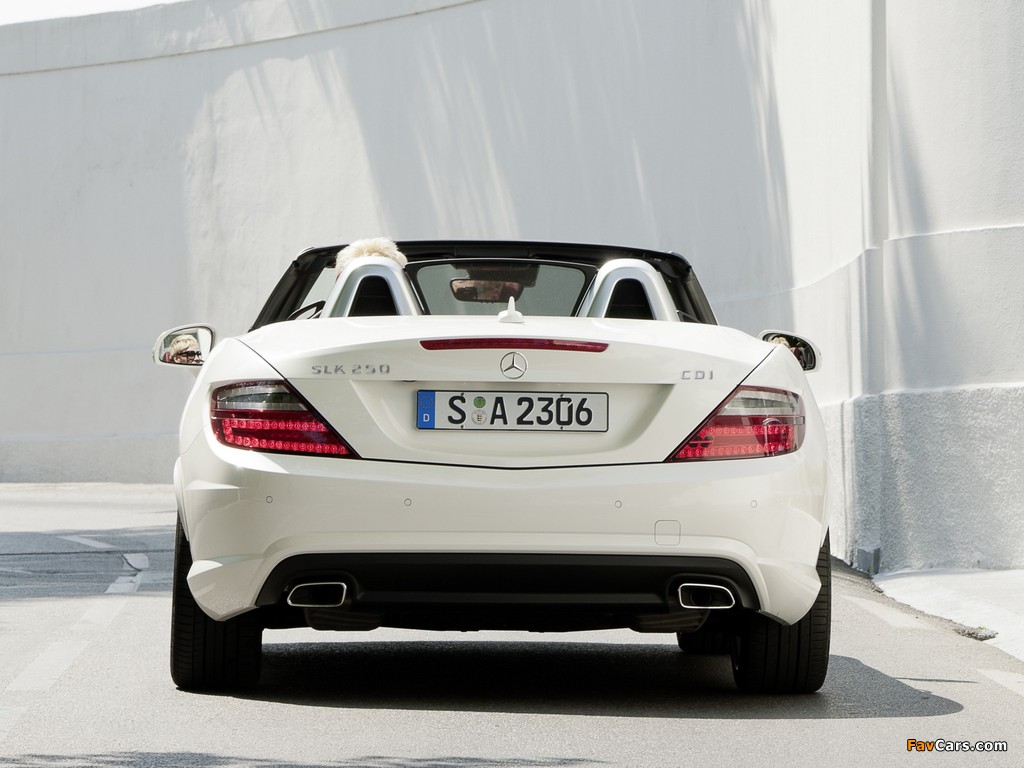 Mercedes-Benz SLK 250 CDI AMG Sports Package (R172) 2011 pictures (1024 x 768)