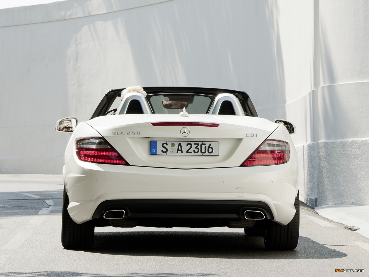 Mercedes-Benz SLK 250 CDI AMG Sports Package (R172) 2011 pictures (1280 x 960)