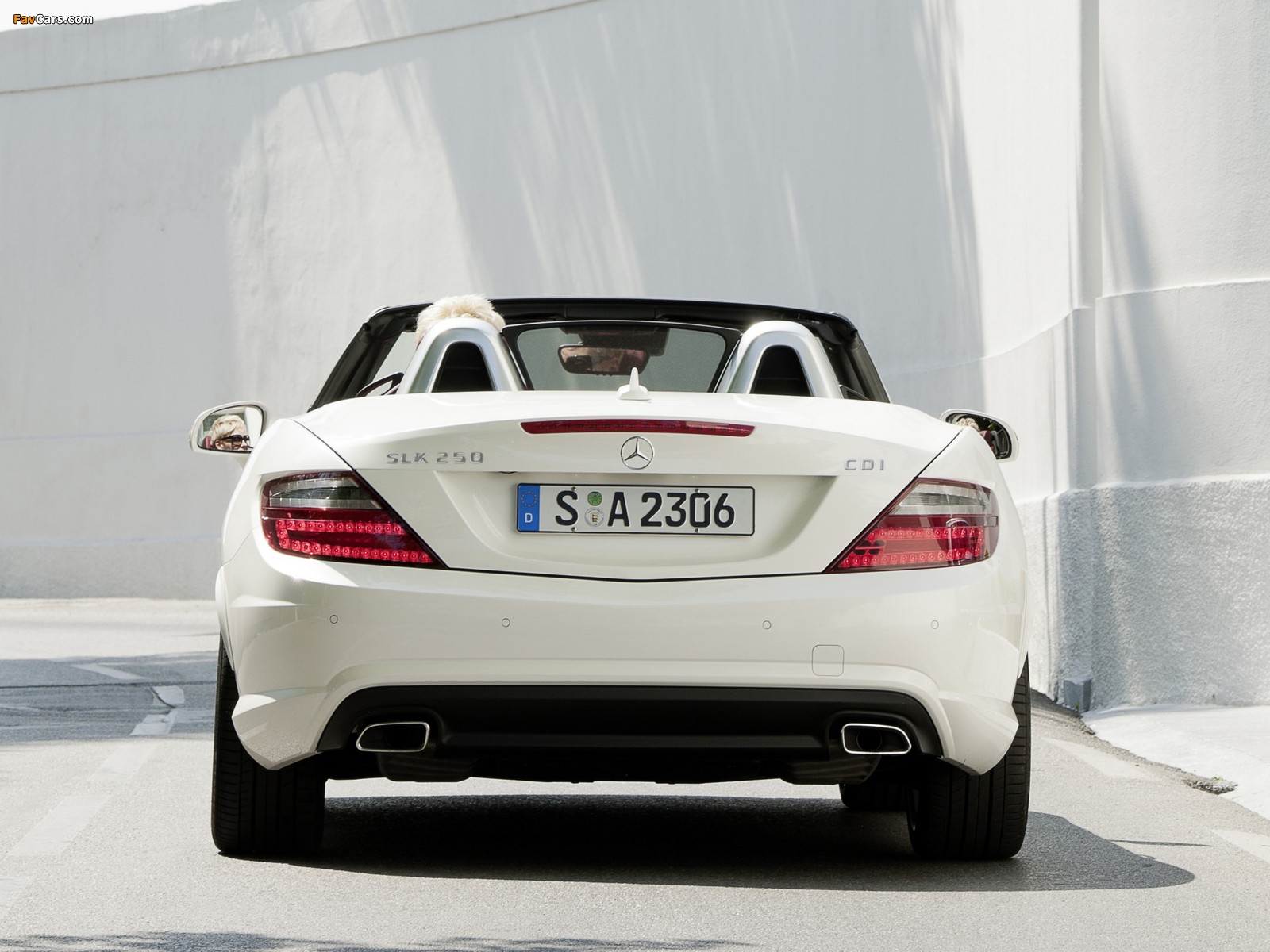 Mercedes-Benz SLK 250 CDI AMG Sports Package (R172) 2011 pictures (1600 x 1200)