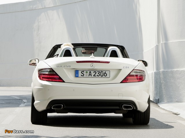 Mercedes-Benz SLK 250 CDI AMG Sports Package (R172) 2011 pictures (640 x 480)