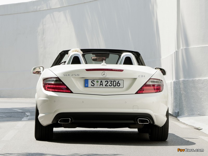 Mercedes-Benz SLK 250 CDI AMG Sports Package (R172) 2011 pictures (800 x 600)