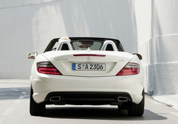 Mercedes-Benz SLK 250 CDI AMG Sports Package (R172) 2011 pictures