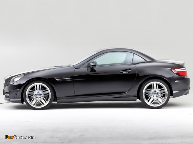 Lorinser Mercedes-Benz SLK-Klasse (R172) 2011 wallpapers (640 x 480)