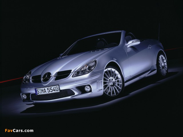 Photos of Mercedes-Benz SLK 55 AMG (R171) 2004–08 (640 x 480)