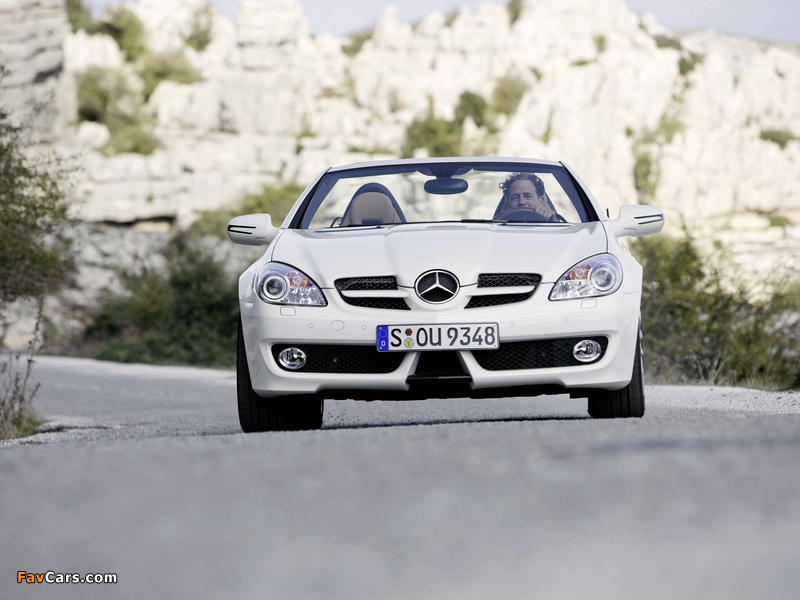 Photos of Mercedes-Benz SLK 350 (R171) 2008–11 (800 x 600)