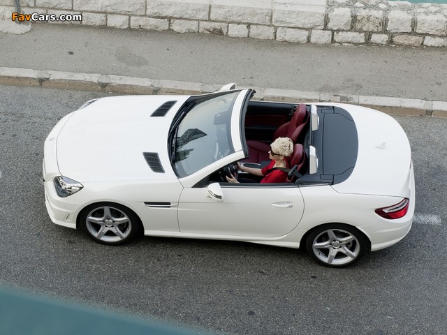 Photos of Mercedes-Benz SLK 250 CDI AMG Sports Package (R172) 2011 (640 x 480)