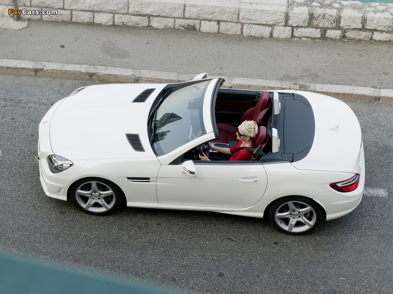 Photos of Mercedes-Benz SLK 250 CDI AMG Sports Package (R172) 2011 (800 x 600)