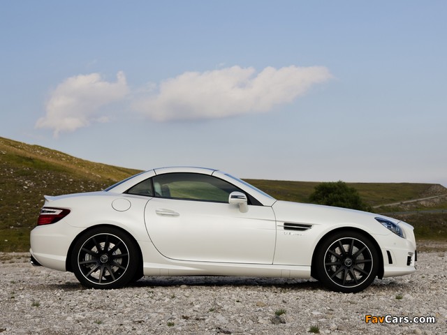 Photos of Mercedes-Benz SLK 55 AMG (R172) 2011 (640 x 480)