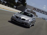 Pictures of Mercedes-Benz SLK 55 AMG (R171) 2004–08