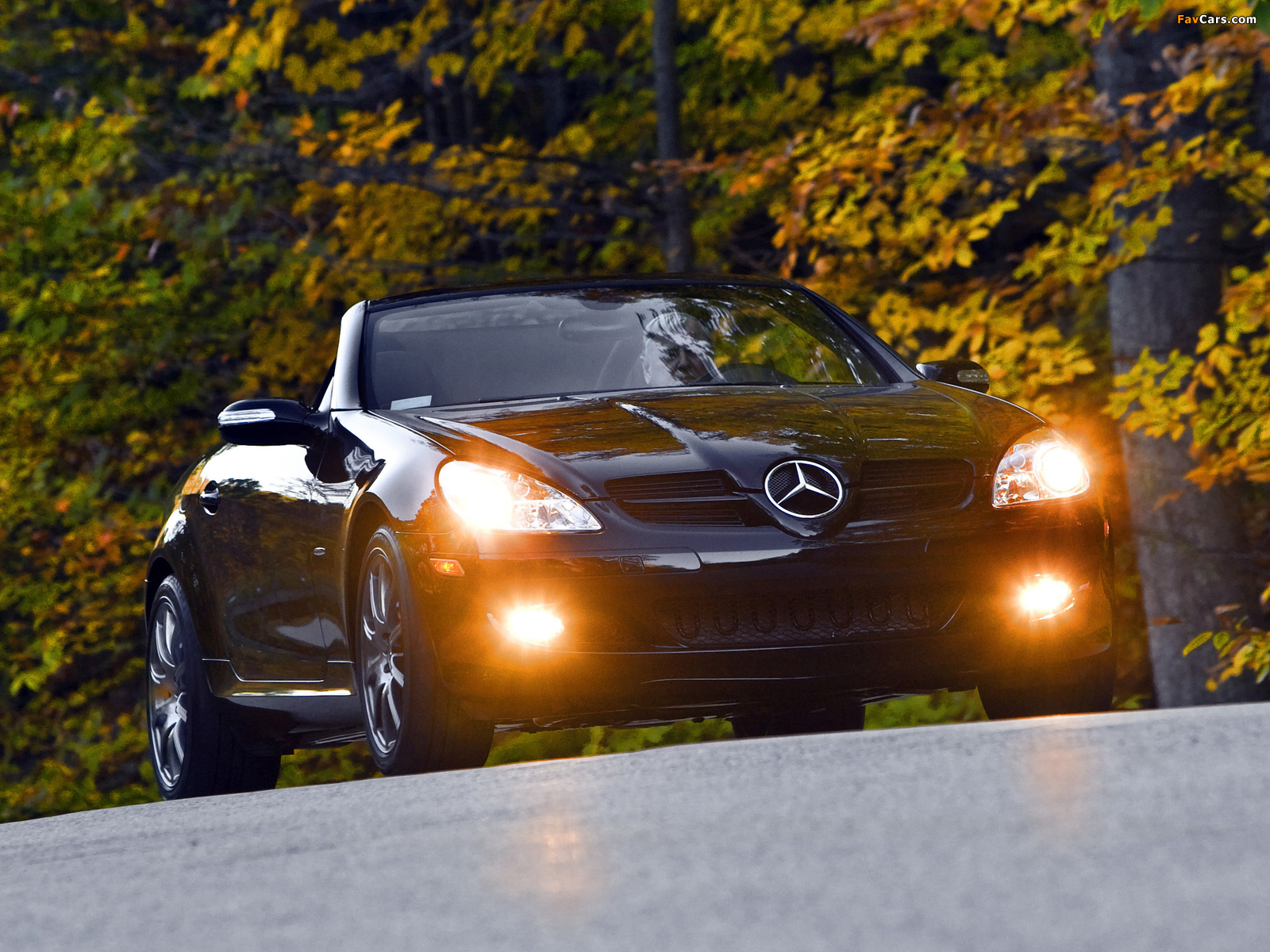 Pictures of Mercedes-Benz SLK 350 Special Edition US-spec (R171) 2004–07 (1600 x 1200)