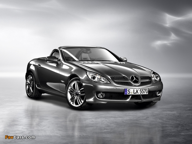 Pictures of Mercedes-Benz SLK Grand Edition (R171) 2010 (640 x 480)
