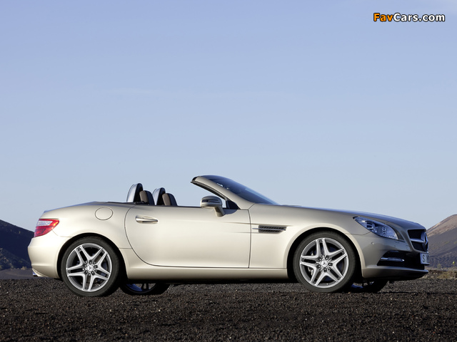 Pictures of Mercedes-Benz SLK 350 (R172) 2011 (640 x 480)