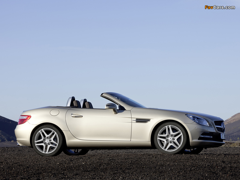 Pictures of Mercedes-Benz SLK 350 (R172) 2011 (800 x 600)