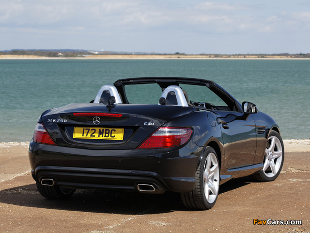 Pictures of Mercedes-Benz SLK 250 CDI AMG Sports Package UK-spec (R172) 2012 (640 x 480)