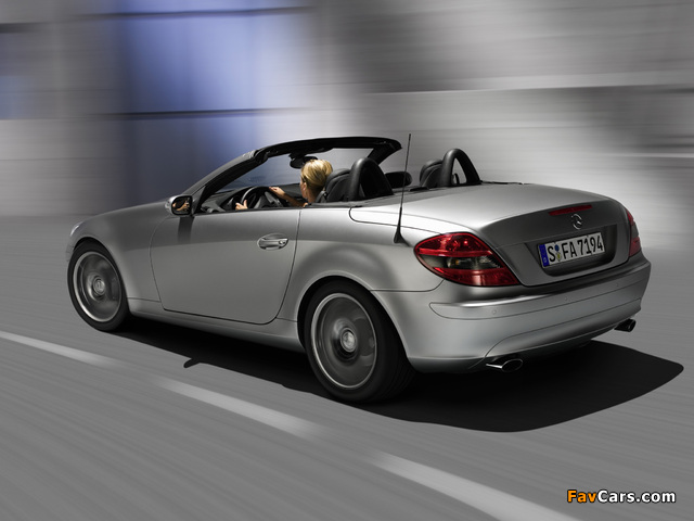 Mercedes-Benz SLK Edition 10 (R171) 2007 wallpapers (640 x 480)