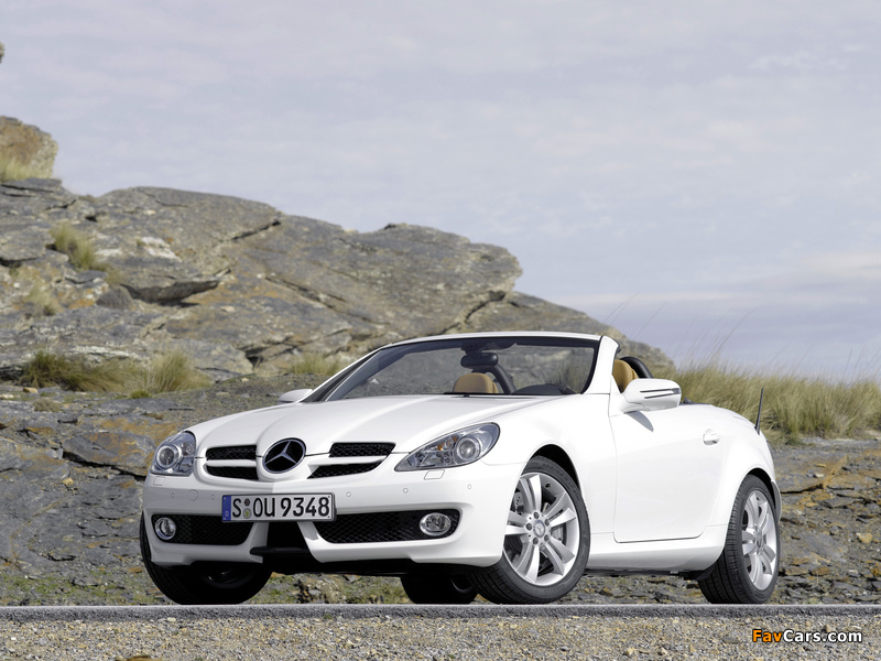 Mercedes-Benz SLK 350 (R171) 2008–11 wallpapers (800 x 600)