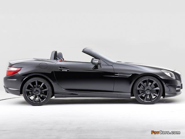 Lorinser Mercedes-Benz SLK-Klasse (R172) 2011 wallpapers (640 x 480)