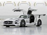 Mercedes-Benz SLS 63 AMG GT3 (C197) 2010 photos