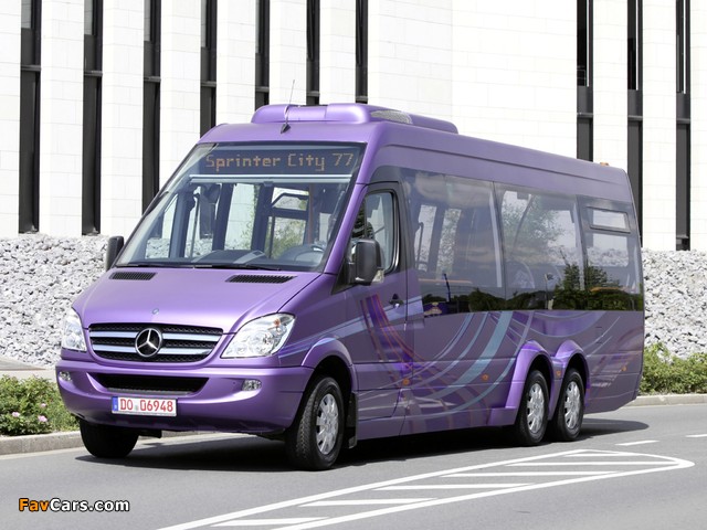 Images of Mercedes-Benz Sprinter City 77 (W906) 2010–13 (640 x 480)