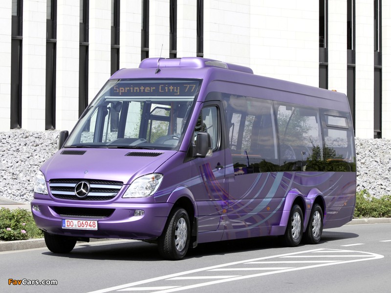 Images of Mercedes-Benz Sprinter City 77 (W906) 2010–13 (800 x 600)