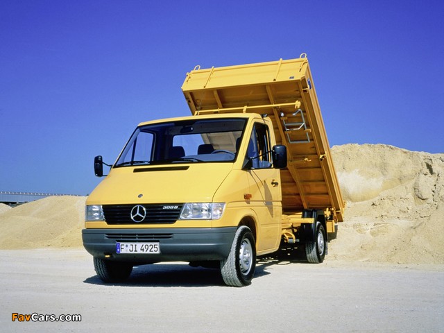 Mercedes-Benz Sprinter Pickup 1995–2000 pictures (640 x 480)