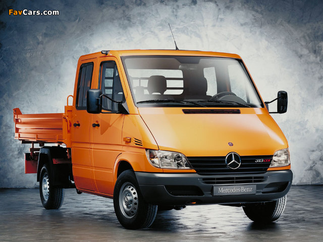 Mercedes-Benz Sprinter Double Cab Pickup 2000–06 images (640 x 480)