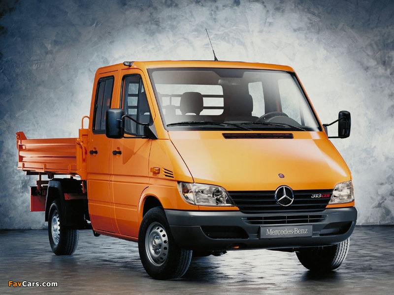 Mercedes-Benz Sprinter Double Cab Pickup 2000–06 images (800 x 600)