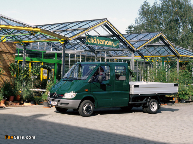 Mercedes-Benz Sprinter Double Cab Pickup 2000–06 pictures (640 x 480)