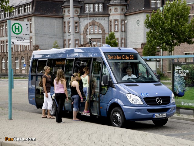 Mercedes-Benz Sprinter City 65 (W906) 2006 photos (640 x 480)