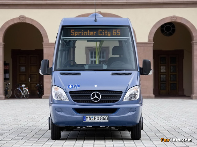 Mercedes-Benz Sprinter City 65 (W906) 2006 pictures (640 x 480)