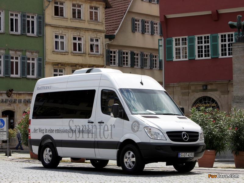 Mercedes-Benz Sprinter BlueEfficiency (W906) 2009–13 images (800 x 600)