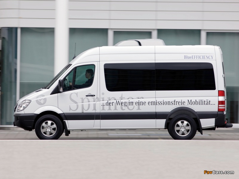 Mercedes-Benz Sprinter BlueEfficiency (W906) 2009–13 images (800 x 600)