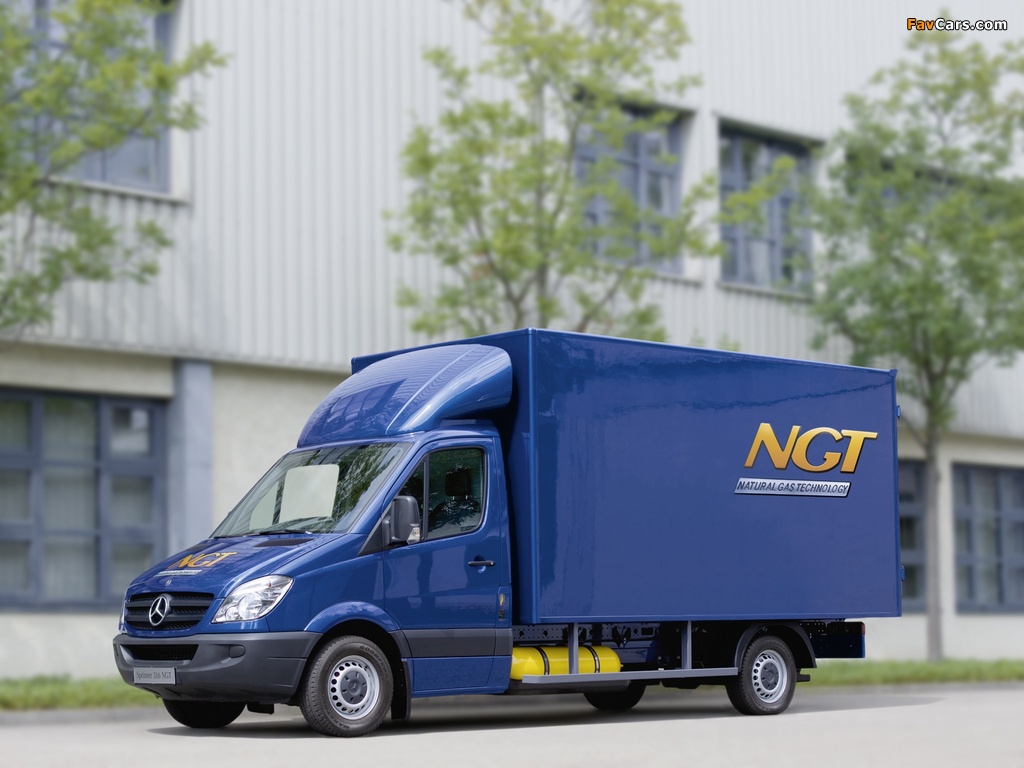 Mercedes-Benz Sprinter NGT Box Van (W906) 2009–13 pictures (1024 x 768)