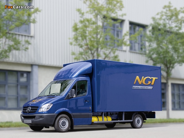 Mercedes-Benz Sprinter NGT Box Van (W906) 2009–13 pictures (640 x 480)