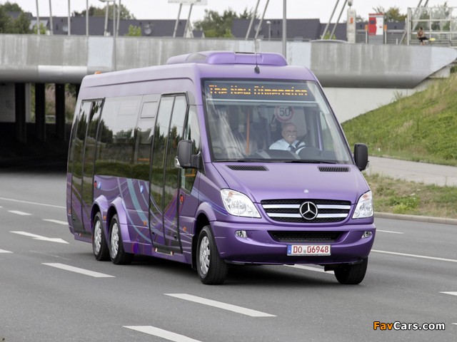 Mercedes-Benz Sprinter City 77 (W906) 2010–13 photos (640 x 480)