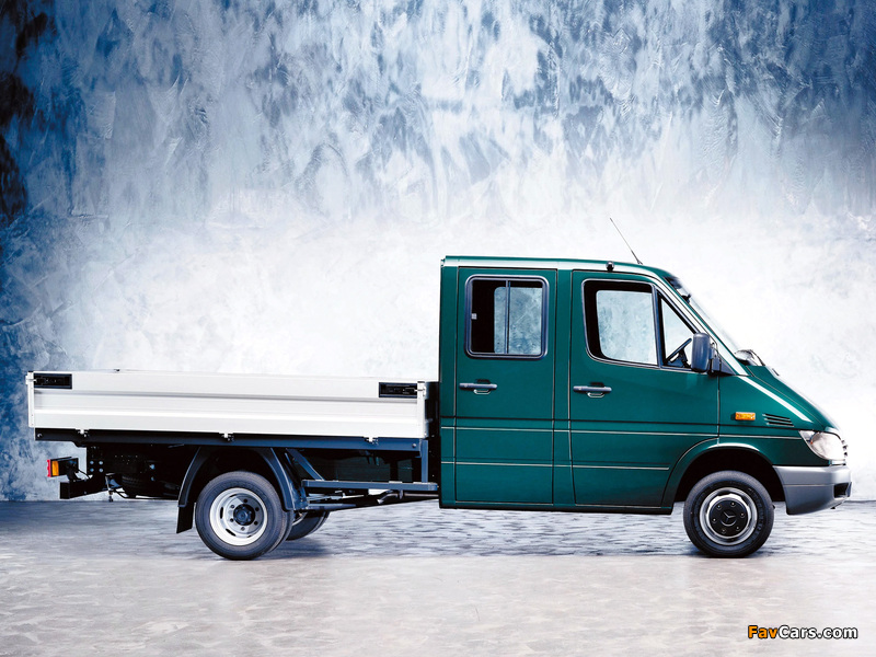 Pictures of Mercedes-Benz Sprinter Double Cab Pickup 2000–06 (800 x 600)