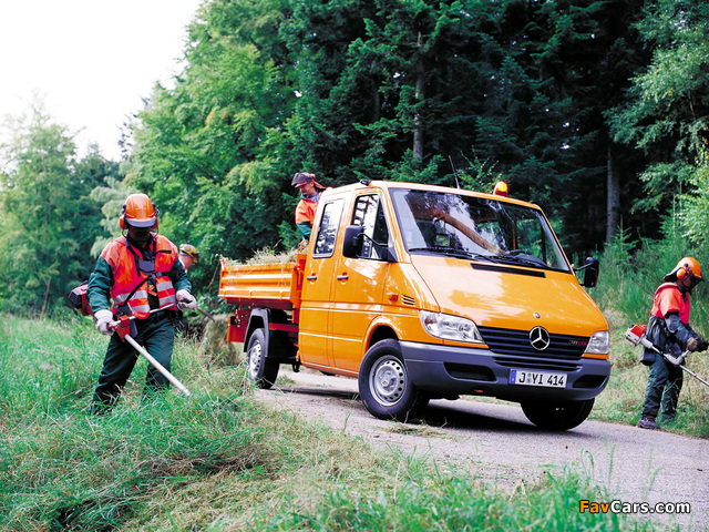 Pictures of Mercedes-Benz Sprinter Double Cab Pickup 2000–06 (640 x 480)