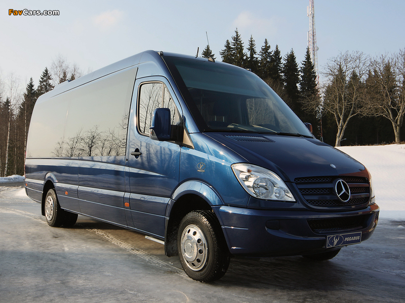 Pictures of Tamlans Pegabus Mercedes-Benz Sprinter (W906) 2006 (800 x 600)